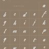 Viana Script Free Typeface