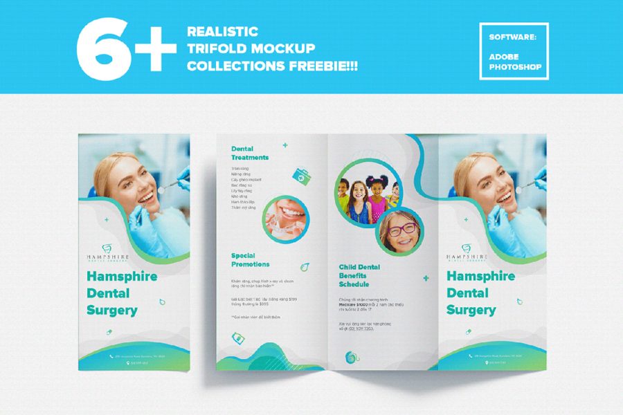 Realistic Trifold Free Mockup Collections