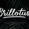 Brillotus Handlettering Script