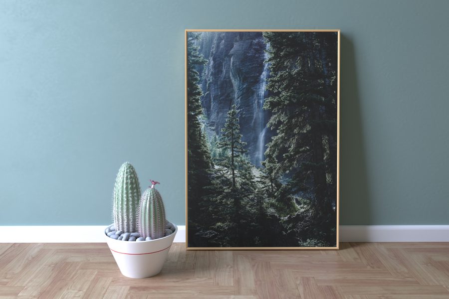 Frame Mockup With Cactus